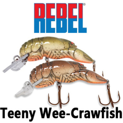 Rebel Teeny Wee-Crawfish