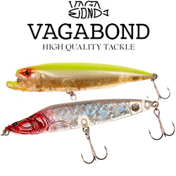 Vagabond
