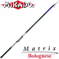 Mikado Matrix 666 Bolognese