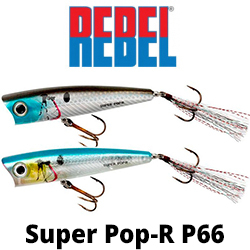 Rebel Super Pop-R P66