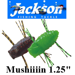 Jackson Mushiiiin 1,25"