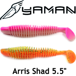 Yaman Arris Shad 5,5"