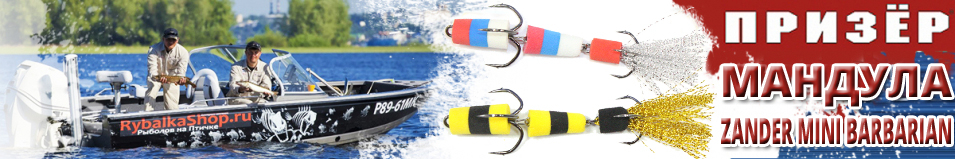 Призёр Мандула Zander mini barbarian