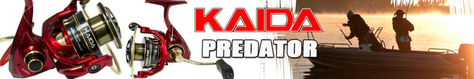 Kaida Predator