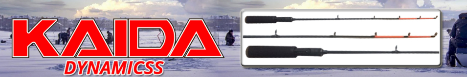 Kaida Dynamicss
