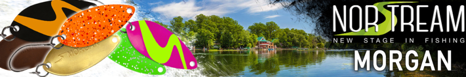 Norstream Morgan 1гр.