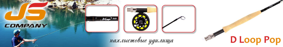 JSCompany D Loop Pop