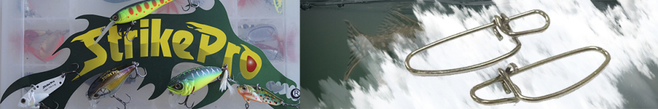 Strike Pro Insurance Bz