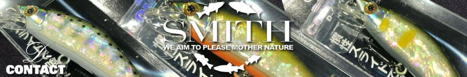 Smith D-Contact Shell 85