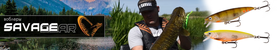 Savage Gear 3D Twitch Minnow 6.6