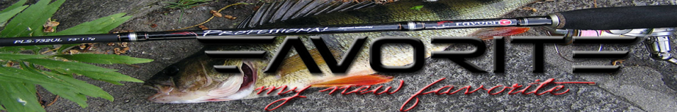 Favorite Professional 