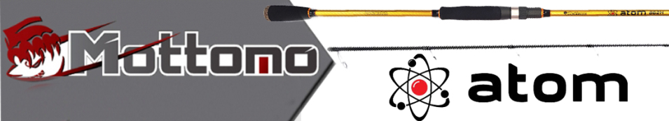 Mottomo Atom