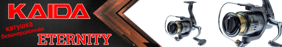 Kaida Eternity