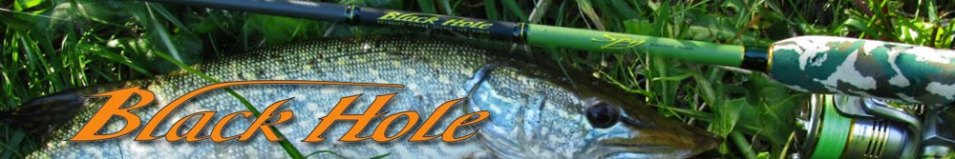 Black Hole Spy New 2019