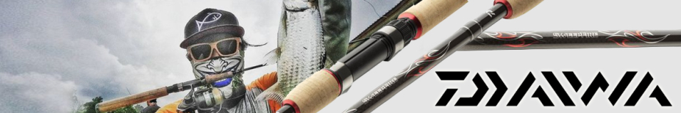 Daiwa Sweepfire Spin