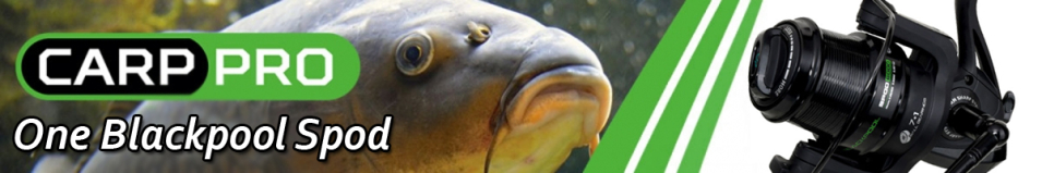 Carp Pro One Blackpool Spod
