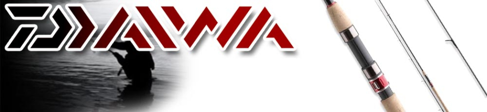 Daiwa Procaster Spinning