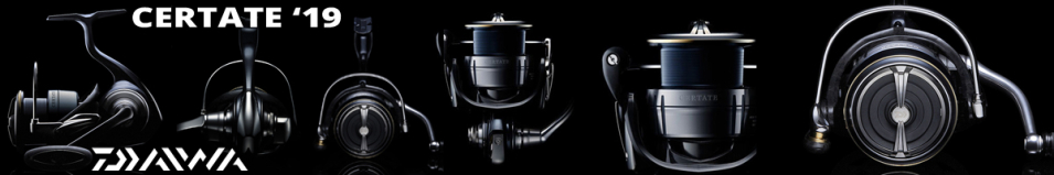 Daiwa 19 Certate (G) LT