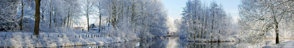 Делфи "Окунь" 40см.