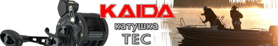 Kaida TEC