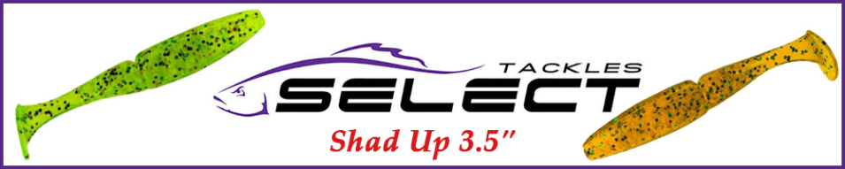 Select Shad Up 3.5" 
