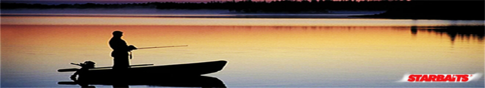 Starbaits Hot Demon Dip Attractor 0.2л