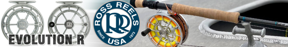 Ross Evolution R Platinum