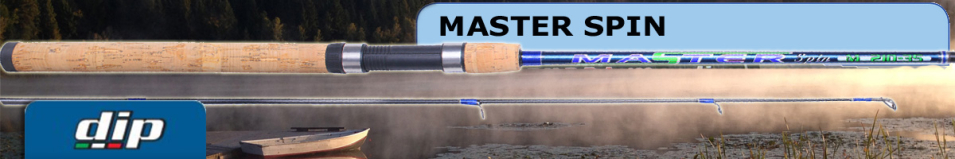 Dip Master Spin
