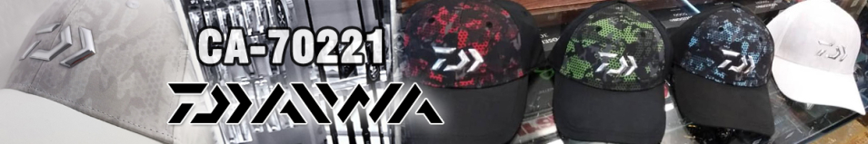 Daiwa CA-70221 Light Gray Free