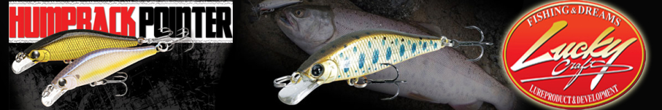 Lucky Craft Humpback Pointer Watch 50S