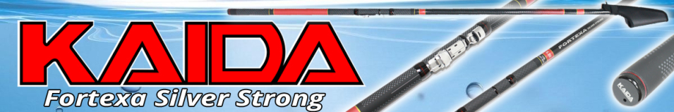 Kaida Fortexa Silver Strong