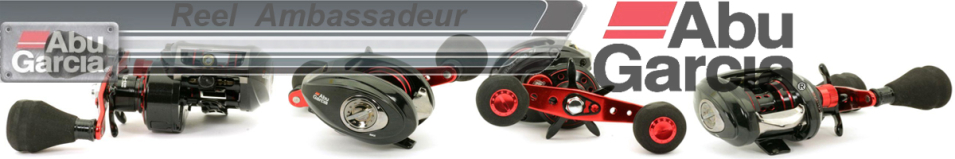 Abu Garcia Ambassadeur Salty Stage Revo SJ  