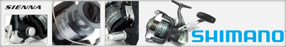 Shimano Sienna FE 