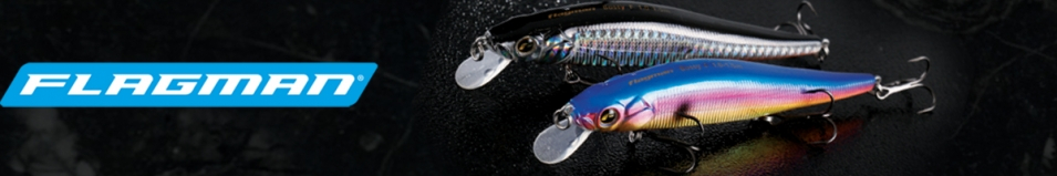 Flagman Bossy 110F-DR