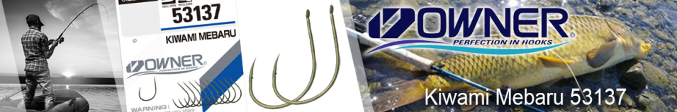 Owner Kiwami Mebaru green