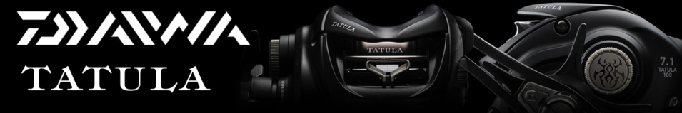 Daiwa 24 Tatula TW