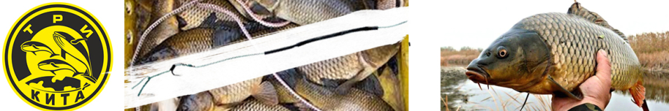 Поводок карповый "ПРОФИ КАРП" 20см с петлей под бойл (волос)