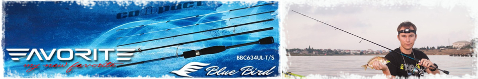 Favorite Blue Bird Compact 