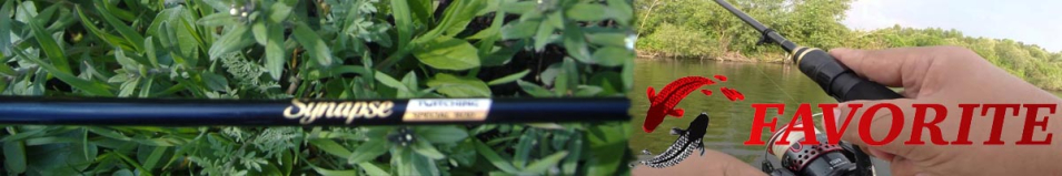 Favorite Synapse Twitching