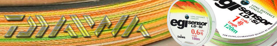 Daiwa PE EGI Sensor LD+SI