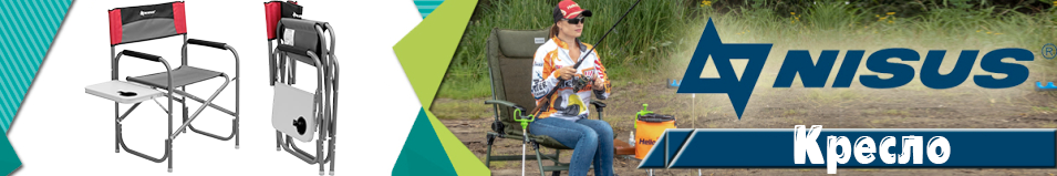 Nisus (N-DC-95200T-GRD) Кресло директорское