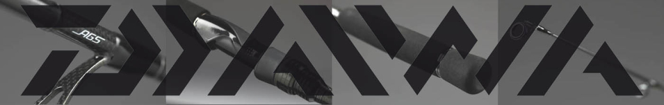 Daiwa Labrax AGS 2015