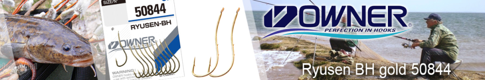 Owner Ryusen BH gold