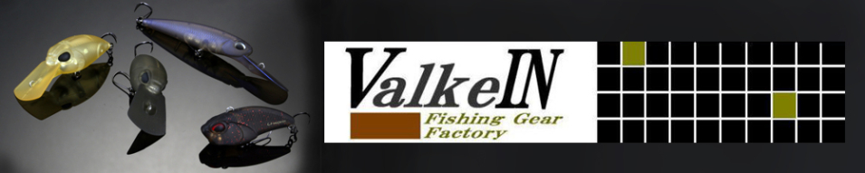 ValkeIN