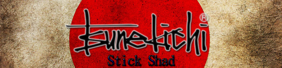 Tsunekichi Stick Shad 4"