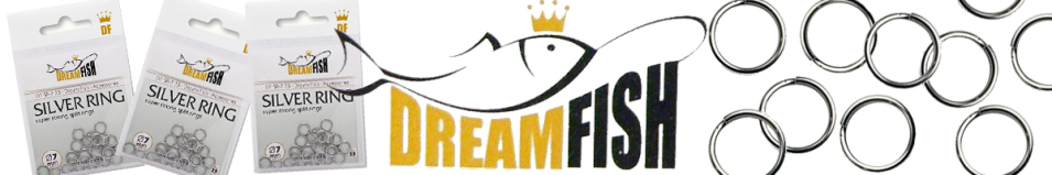 DreamFish Silver Ring