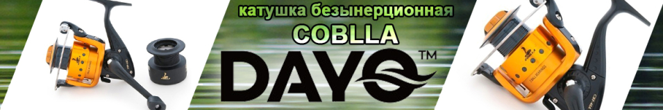 Dayo Coblla CBF-40A