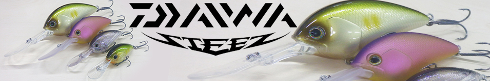 Daiwa Steez Crank 700