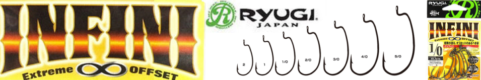 Ryugi Infini
