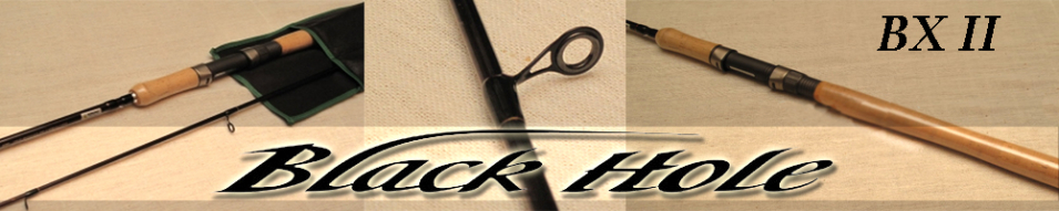 Black Hole BX - II